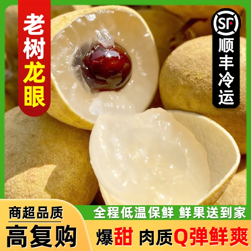【顺丰包邮】老树储良龙眼 新鲜桂圆水果非石硖孕妇现摘香甜多汁
