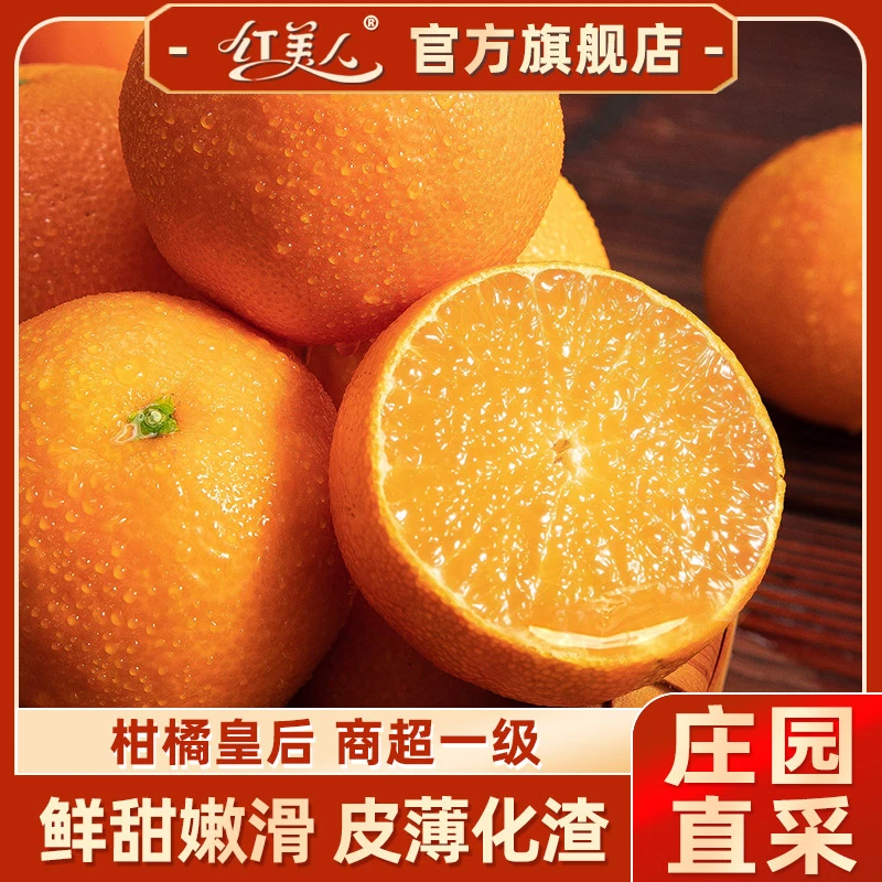红美人果冻橙5斤新鲜现摘当季水果柑橘无核蜜桔手剥橙甜橙礼盒装