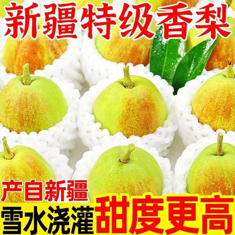 [力坤喀宝]新疆库尔勒香梨六斤全国包邮