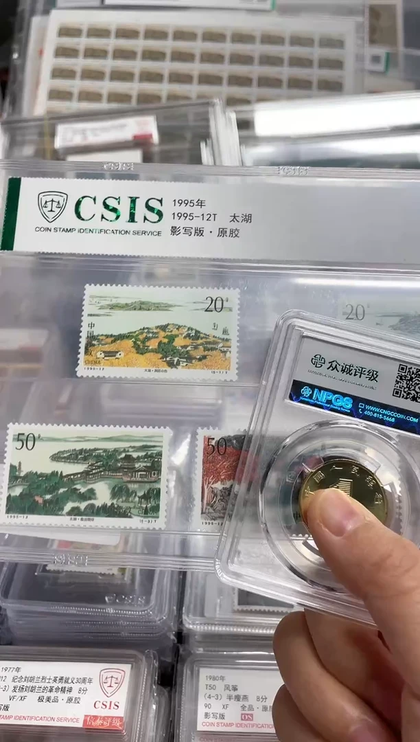 【闪购商品】塑料1995-12T 太湖 片 90