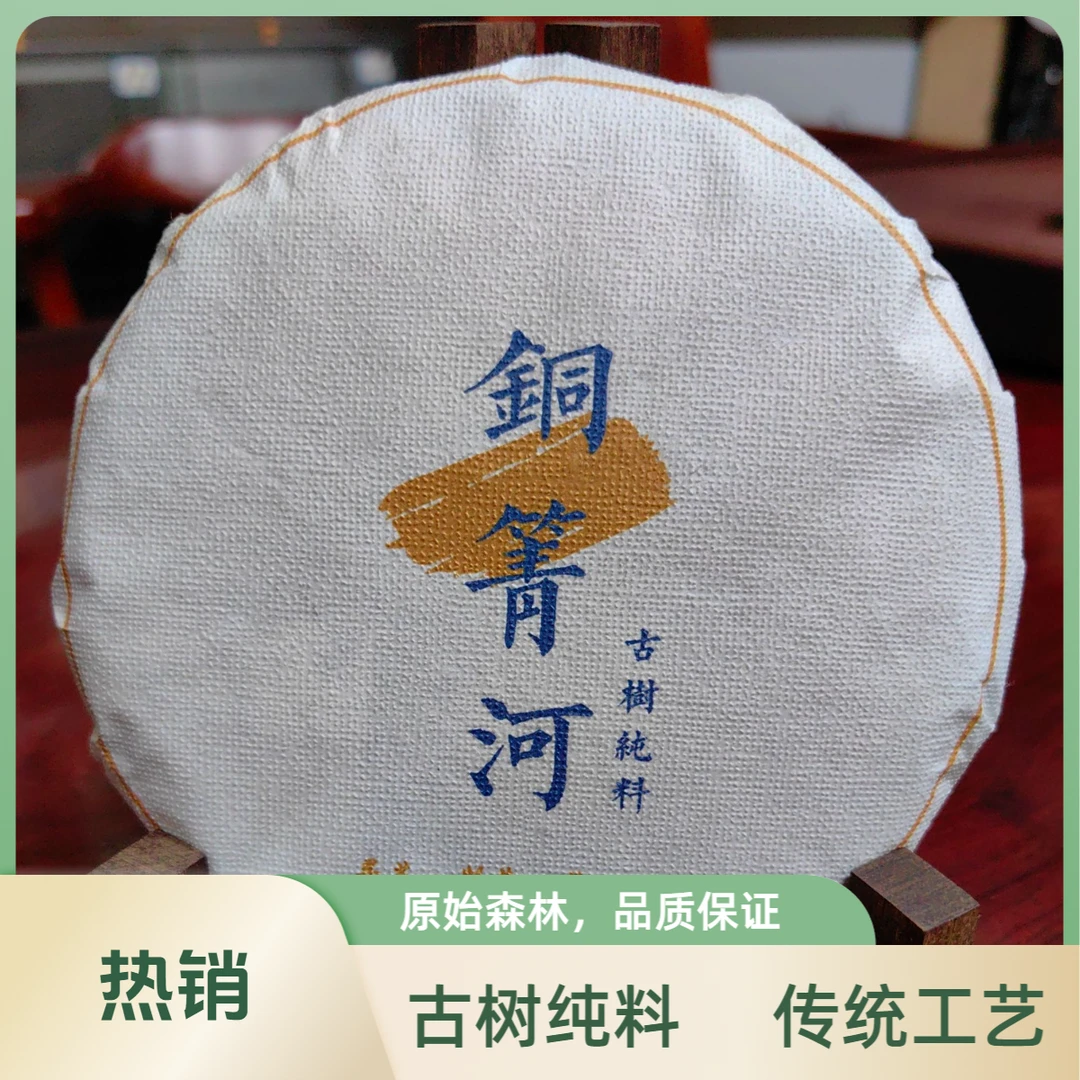 铜铜河古树纯料普洱茶2023年头春