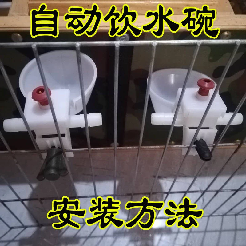鹌鹑水杯鸽子水碗鹦鹉鸟类自动饮水器信鸽食盒挂盒饮水碗减压水箱
