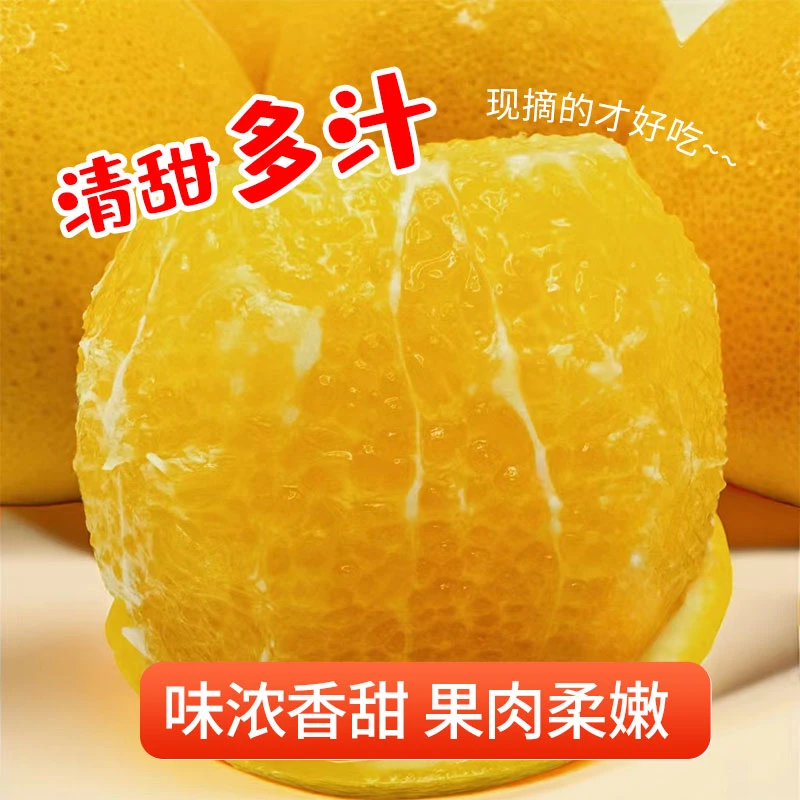 湖南高山正宗永兴冰糖橙新鲜水果当季水果细腻脆嫩现摘香甜原产地