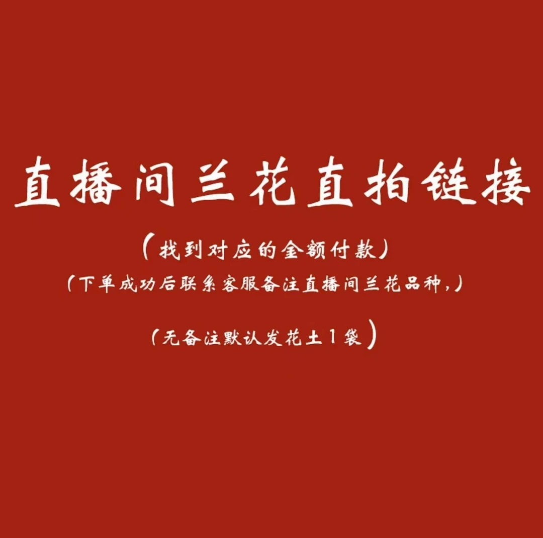 【兰花专属拍】兰花开花浓香