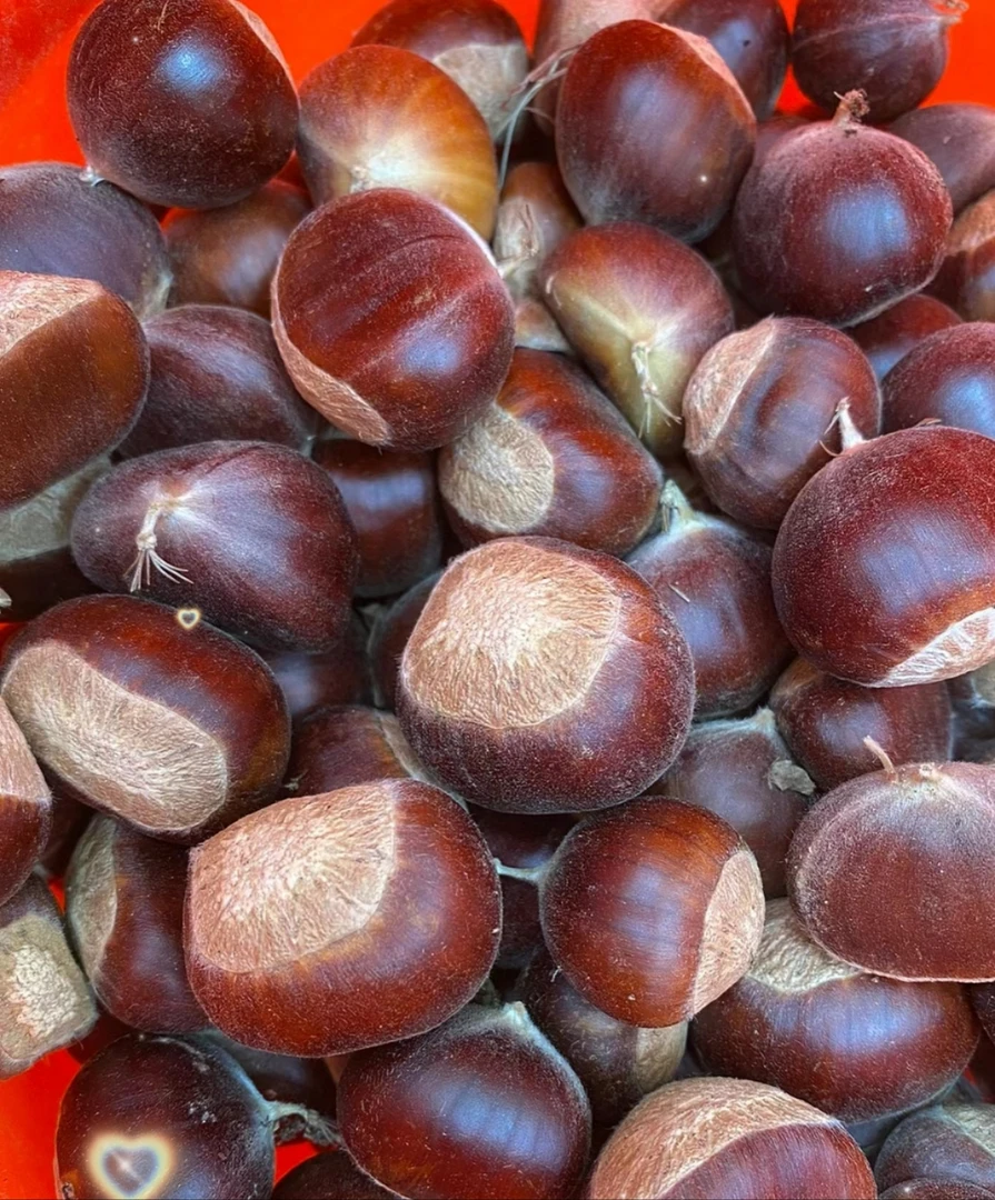 【鲜果】新鲜板栗550g