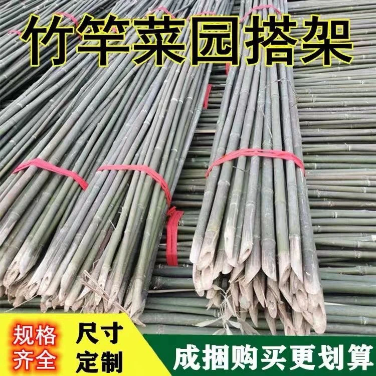 竹竿菜园搭架豆角黄瓜番茄爬藤架园艺篱笆围栏旗杆小竹子新品包邮