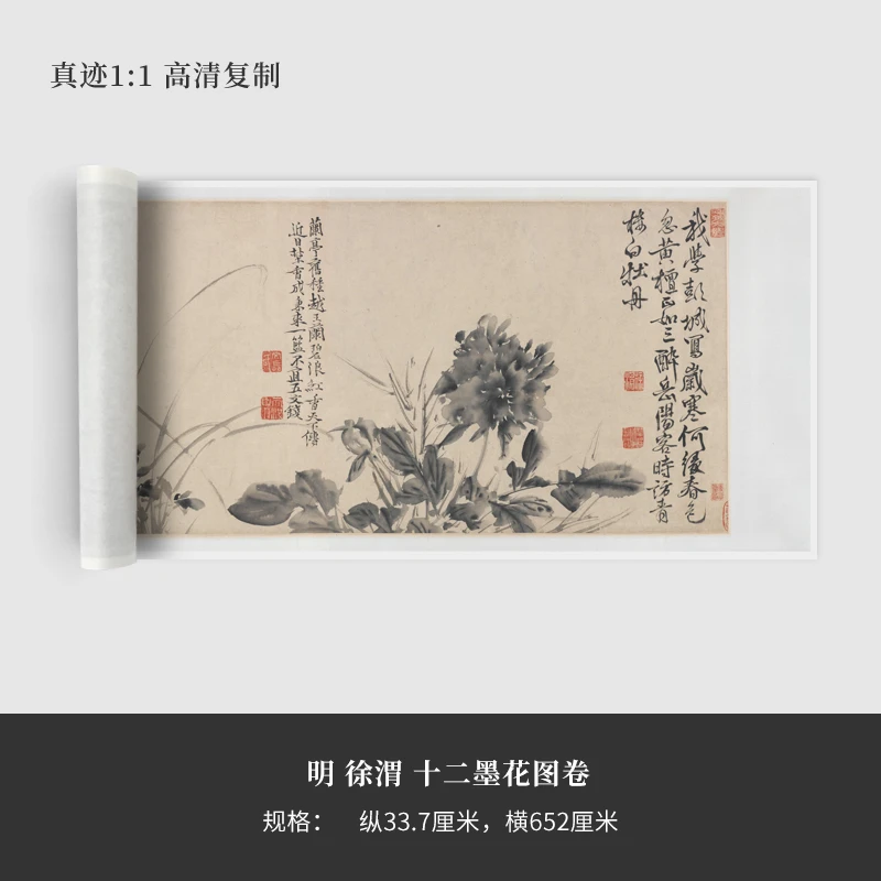 徐渭国画《十二墨花图卷》高清原大复制品毛笔书法练字帖长卷