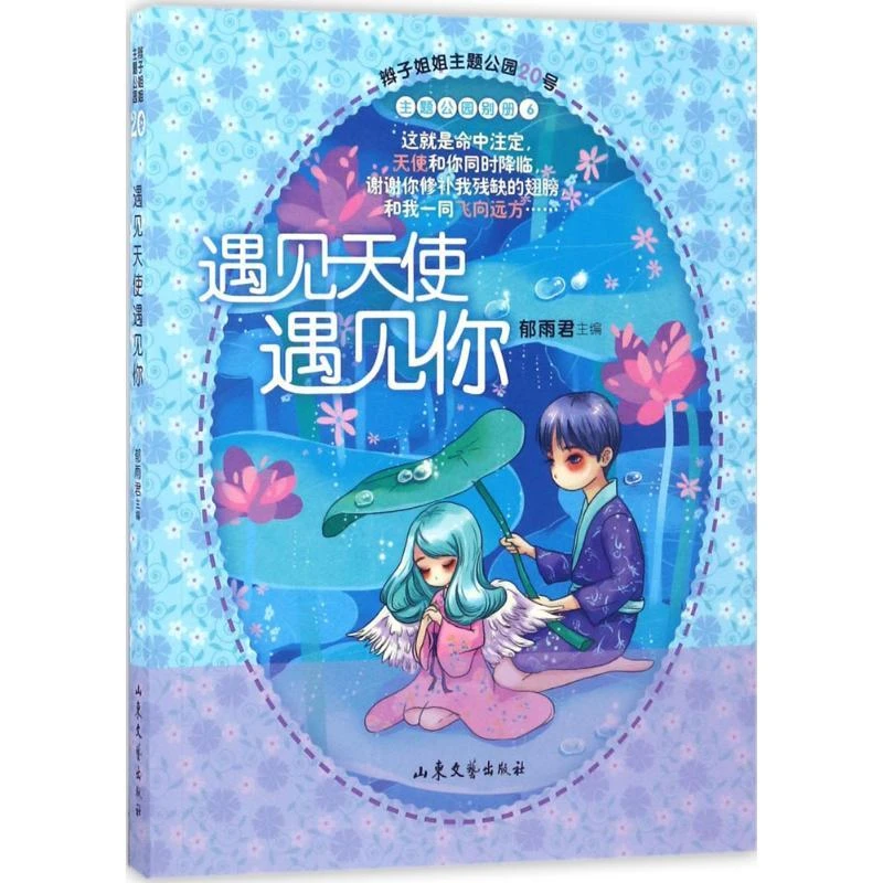 正版书籍推荐《遇见天使遇见你》经典好书