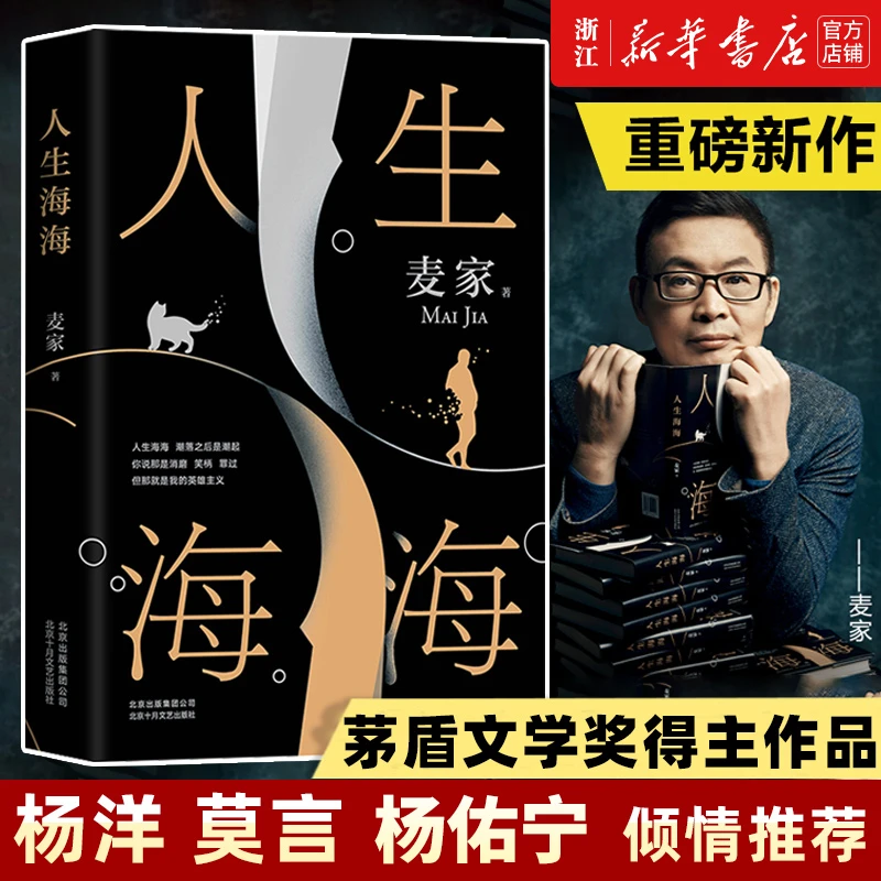 人生海海 麦家 茅盾文学奖得主 文学小说畅销书