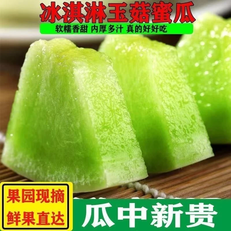 海南岛玉菇甜瓜产地种植蜜瓜新鲜甜蜜蜜甜美味水果当季脆玉茹香瓜