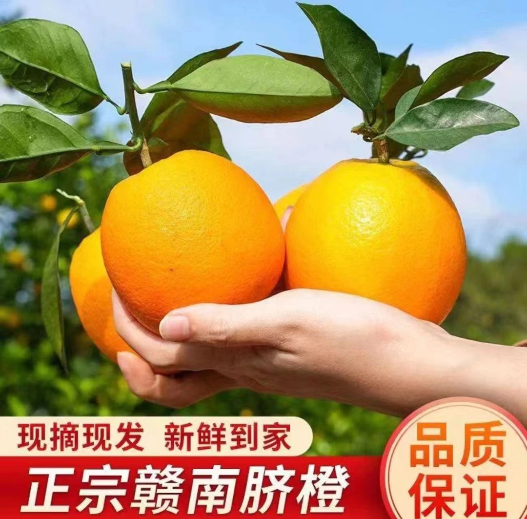 正宗赣南脐橙新鲜采摘爆汁孕妇水果爱媛橙果冻橙血橙雷波脐橙香甜