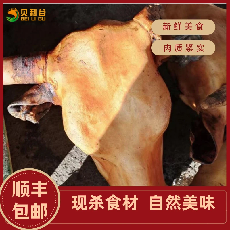 新鲜牛头 一物一拍 直播改价