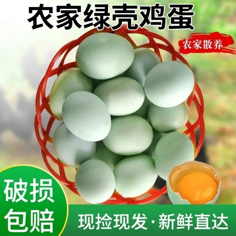 绿壳鸡蛋正宗农家土鸡蛋农村散养新鲜乌鸡蛋柴鸡蛋营养蛋太行山