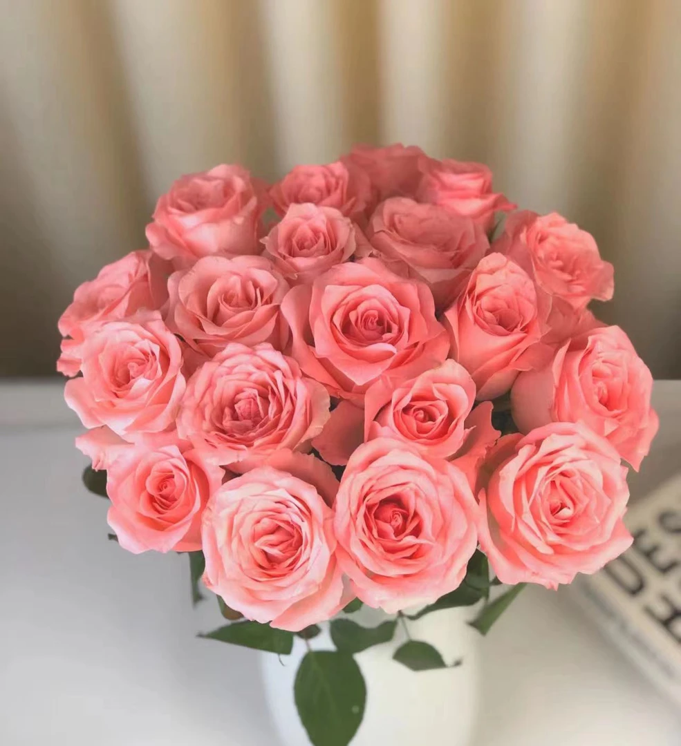 戴安娜 鲜花玫瑰 全场买两单及以上包邮 云南基地直发