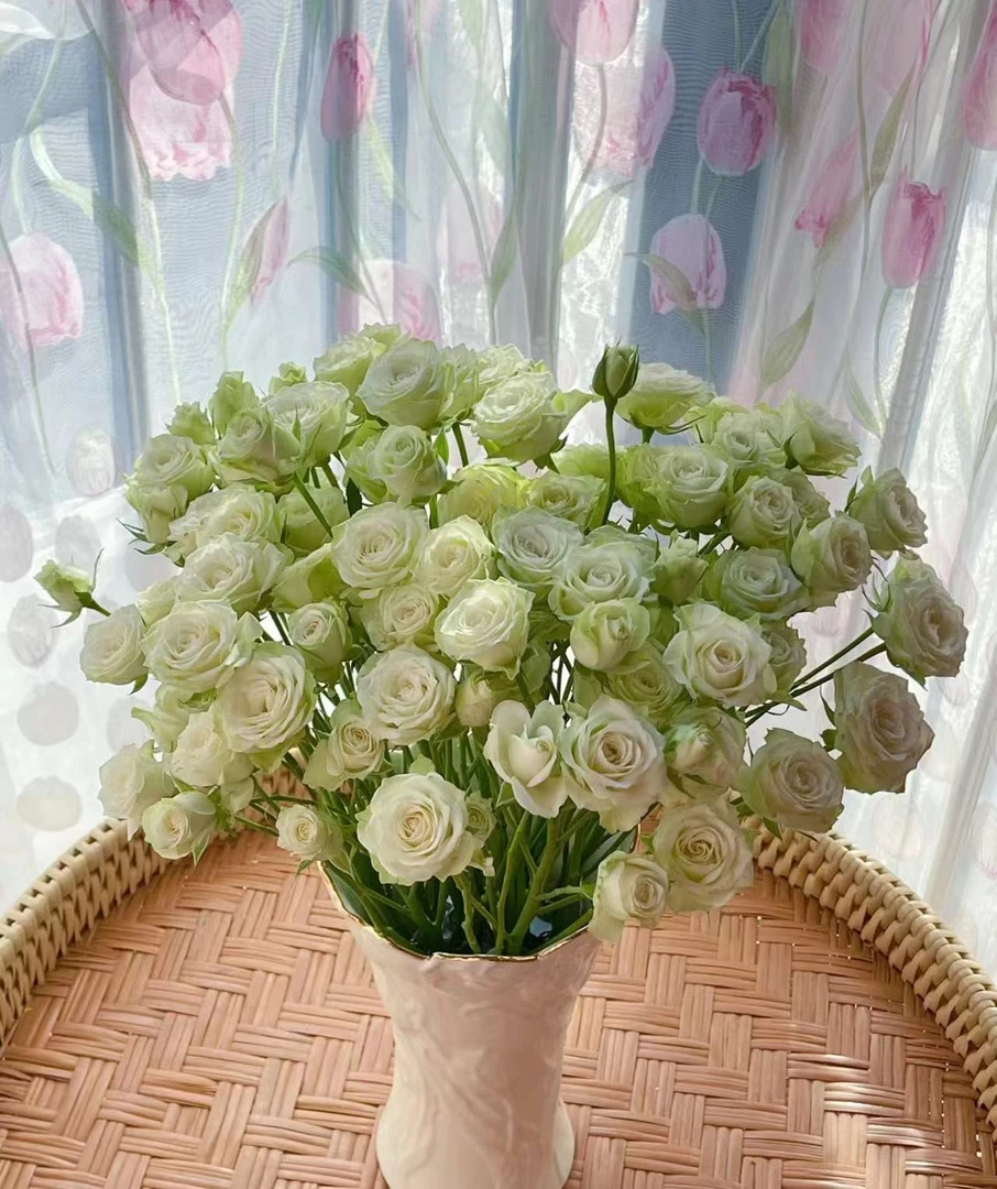 多头繁星 鲜花玫瑰 全场买两单及以上包邮 云南基地直发