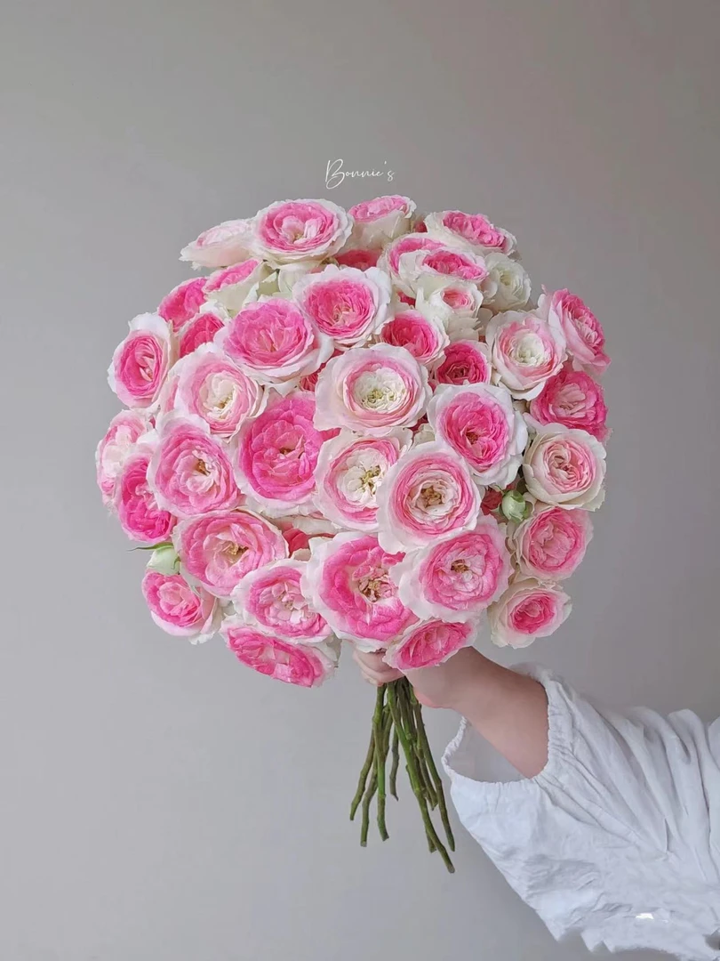 多头午夜魔法鲜花玫瑰 全场买两单起发顺丰或京东空运