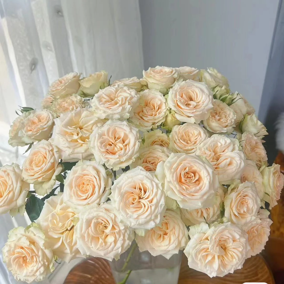 多头和风鲜花玫瑰 全场买两单起发顺丰或京东空运
