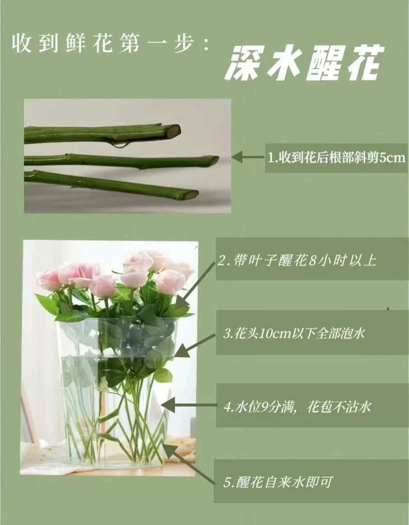 绣球鲜花玫瑰 全场买两单起发顺丰或京东空运