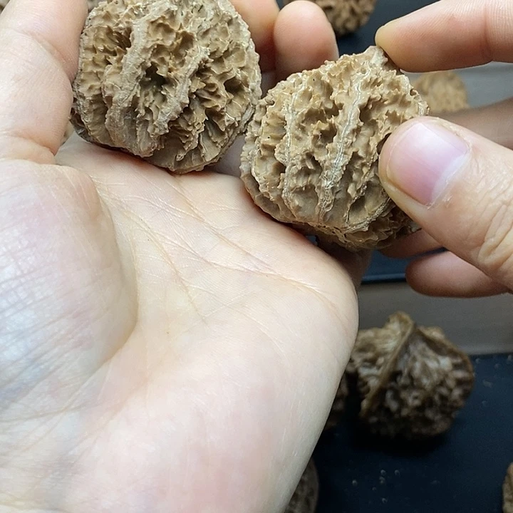 桃核把件43全品有色差
