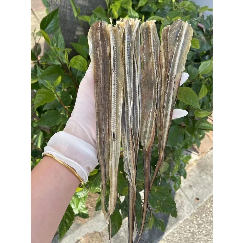 肉鳝干淡晒生晒新鲜去头烧烤最爱阳江特产鳗鱼干玉鳝干海鱼干