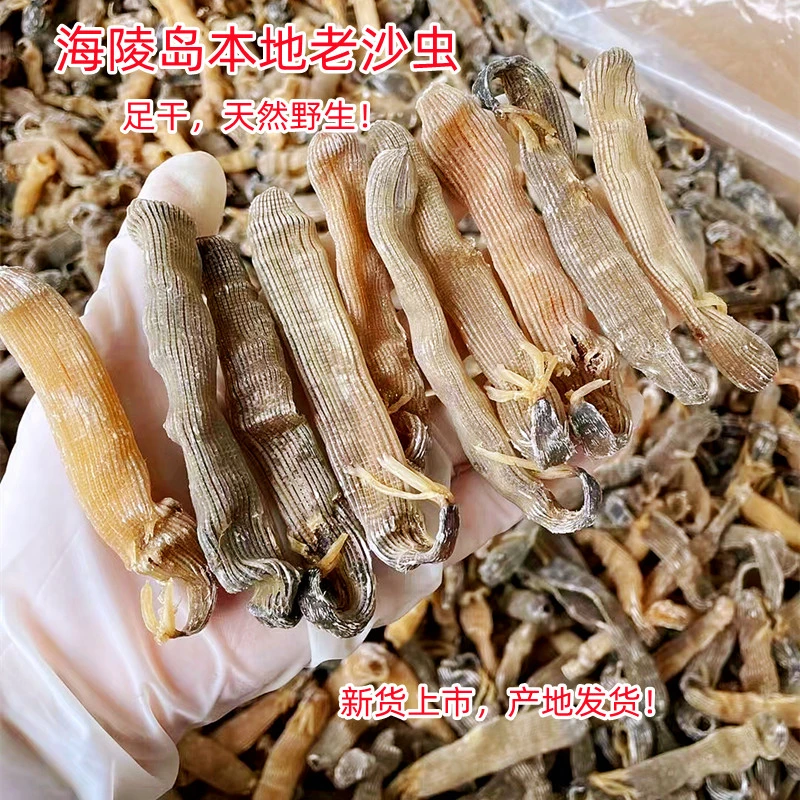 渔民自晒大号黄金沙虫干厚肉 阳江特产野生老沙虫 天然海产乾货