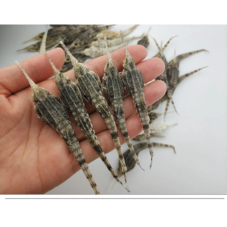 野生海麻雀煲汤干货泡酒海星海底麻雀中药材海燕子汤包料海麻雀干