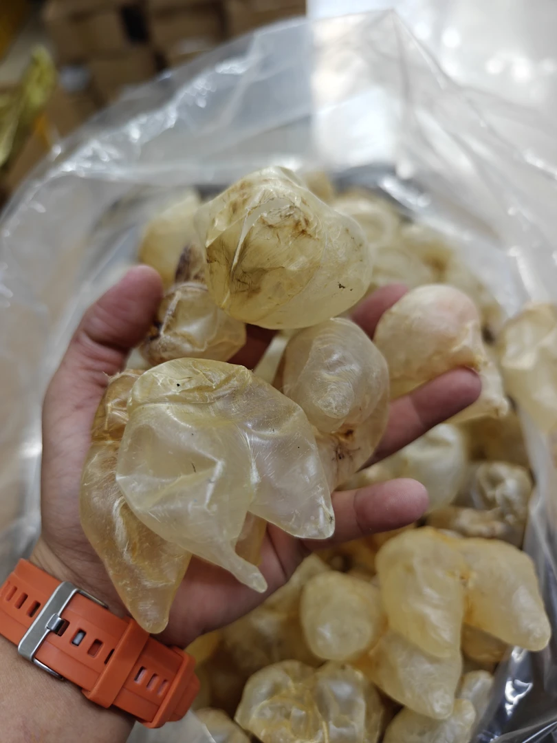 鸡泡胶足干鱼胶花胶干货正品深海非即食花胶奶冻花胶鸡汤鱼肚新鲜