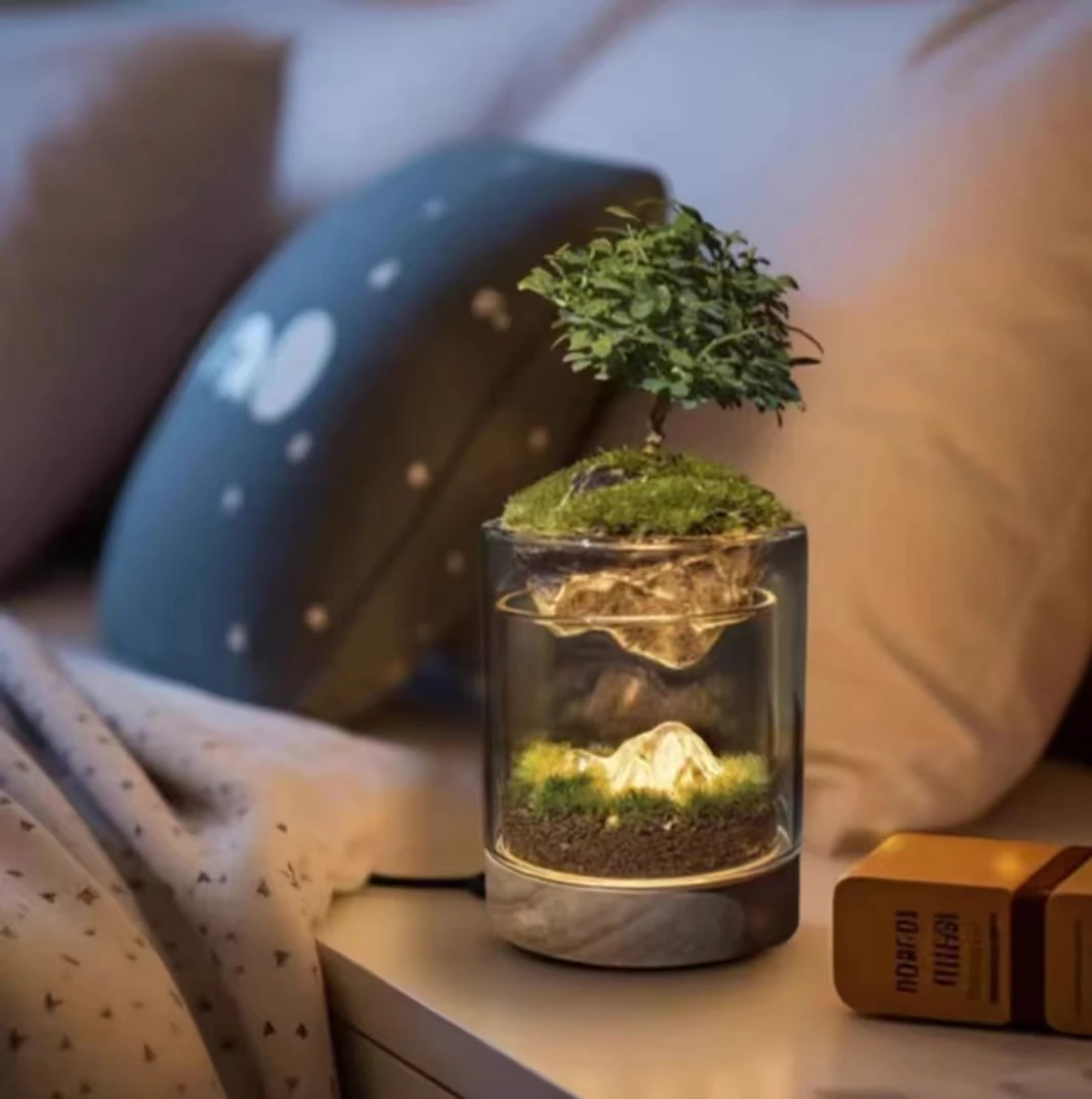 苔藓微景观室内盆栽植物办公室盆景桌面造景生态瓶小摆件礼物