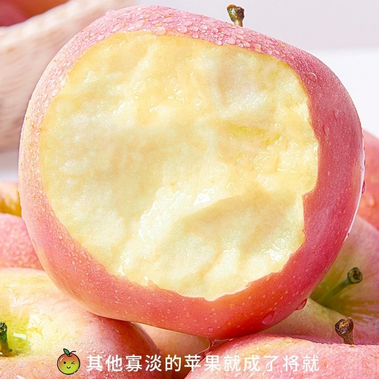 【包邮】正宗安徽砀山脆甜红富士苹果9斤现摘新鲜水果坏果包赔