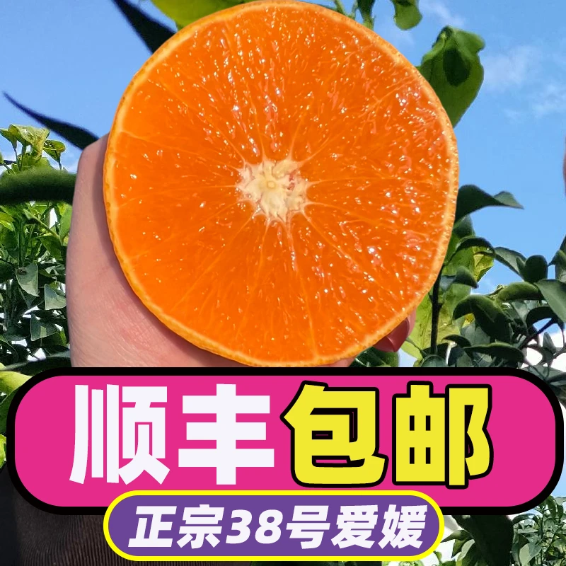 【顺丰包邮】爱媛38号果冻橙四川正宗新鲜当季水果柑播桔手剥橙子