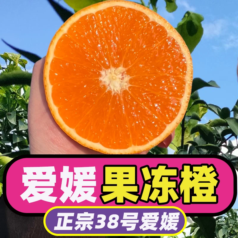 正宗四川爱媛38号果冻橙新鲜当季水果整箱大果手剥橙子