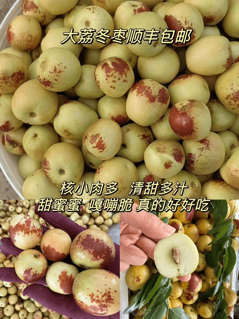 （顺丰包邮）正宗陕西大荔冬枣脆甜皮薄新鲜采摘【3-5斤】现采现发