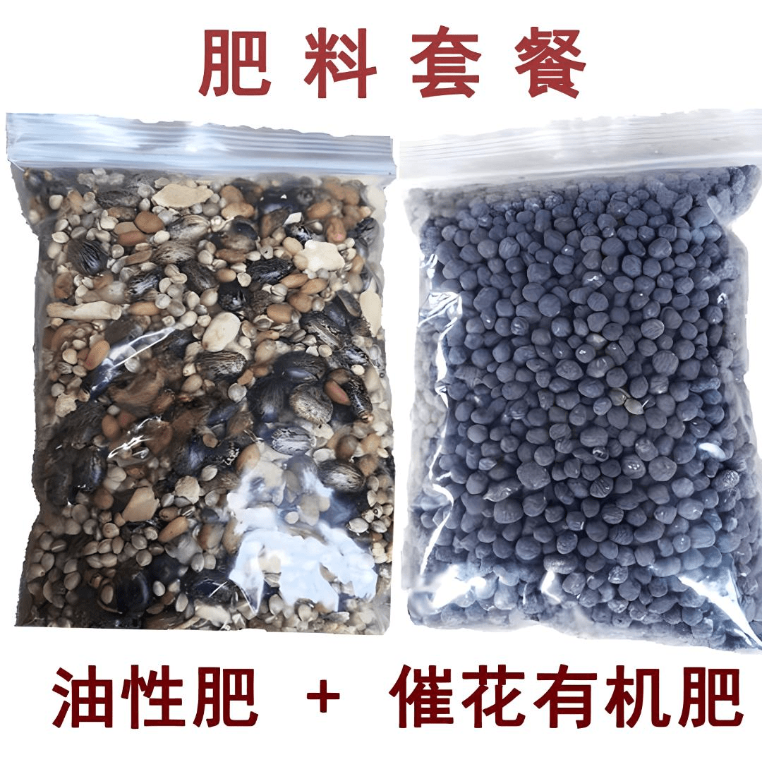 君子兰专用肥盆栽花卉腰肥底肥促开花营养有机肥温和促进生长套餐
