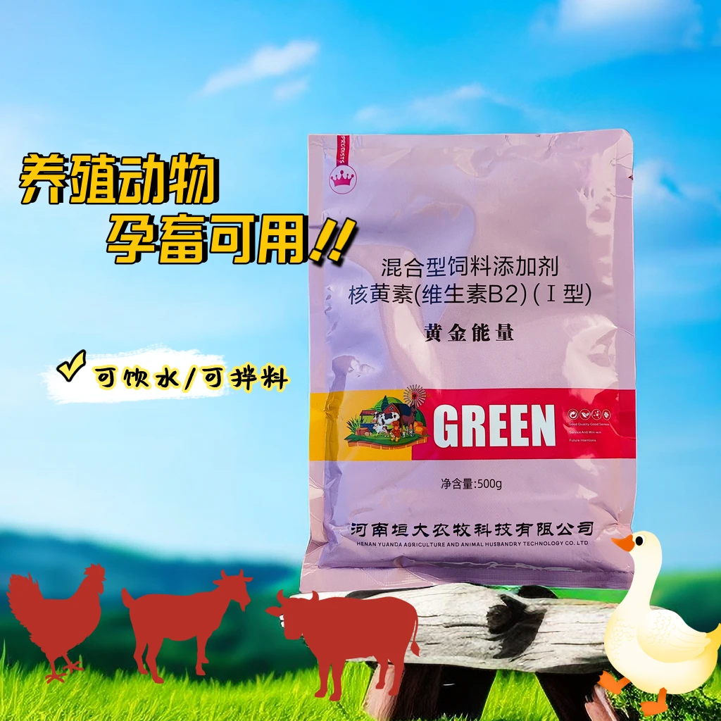 黄金能量维生素营养元素速补