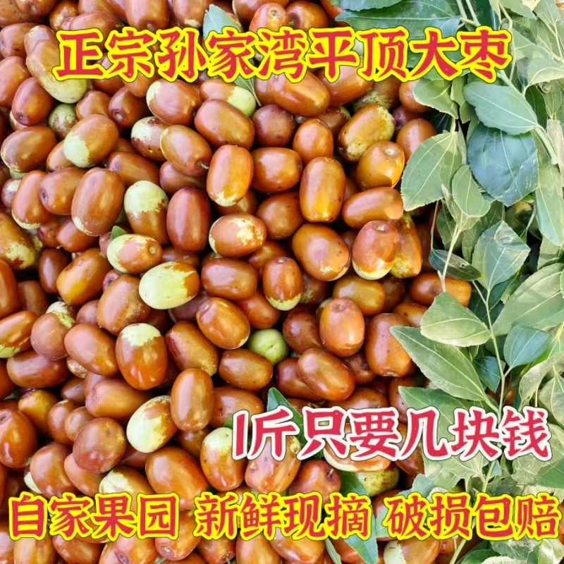 正宗朝阳孙家湾大枣新鲜枣平顶枣红枣甜脆枣孕妇应季天然水果现摘