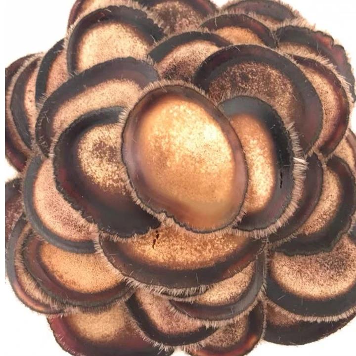 祥润泽鹿茸片半蜡片10g正宗鹿茸片青年老人泡水煲汤泡酒包邮