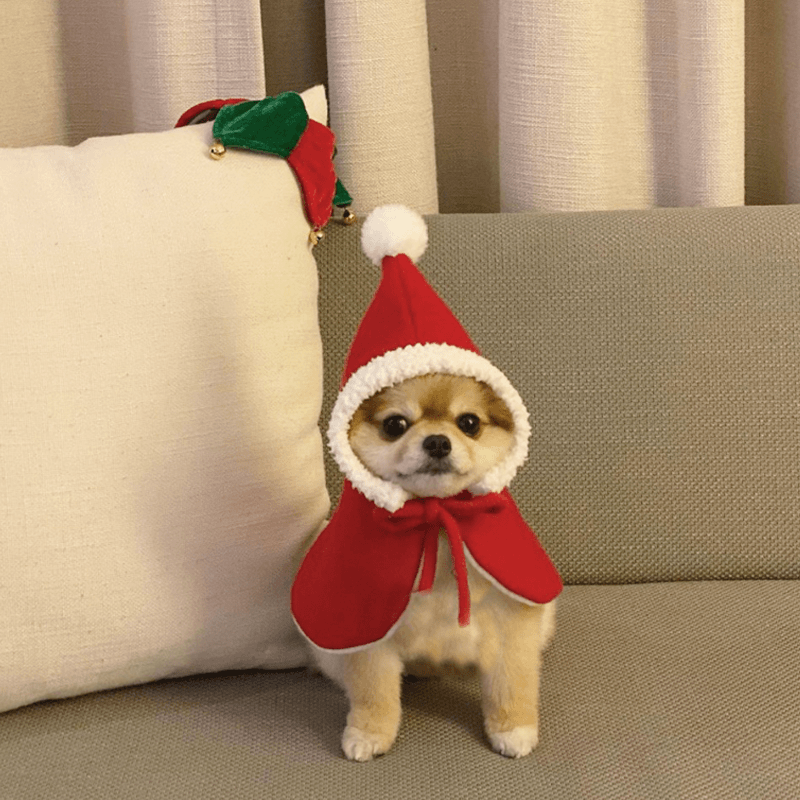 BASITU柴犬新年小红帽宠物猫咪狗金毛美短毛线帽子衣服耶诞生日拜