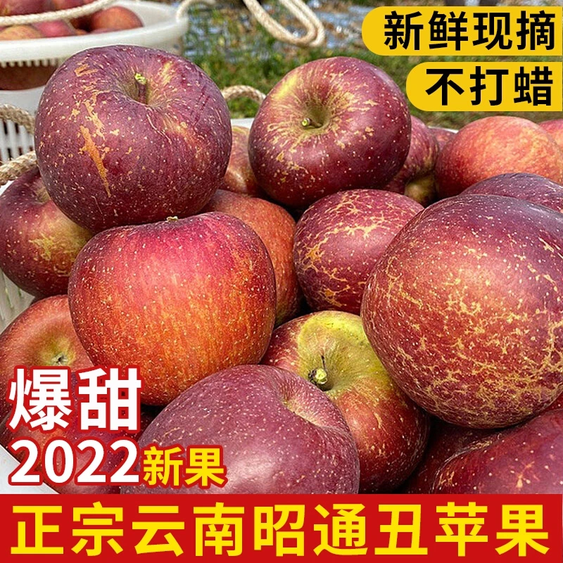 郭姐果业【坏果包赔】云南昭通丑苹果甜心5斤装现摘现发