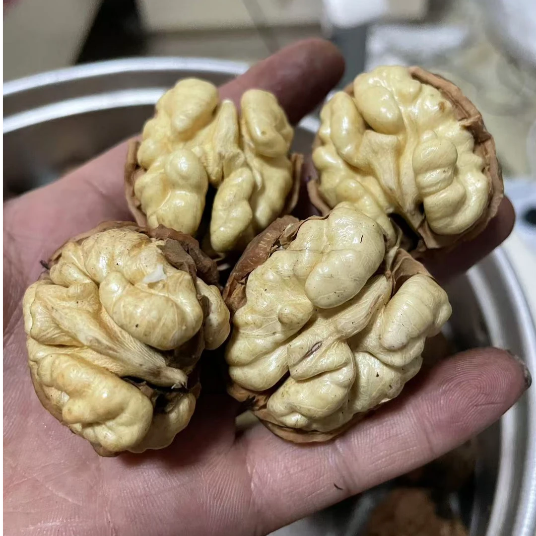 （顺丰包邮）四川老树新鲜核桃去青皮湿核桃孕妇水果3/5斤营养饱满