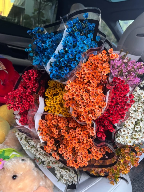 澳洲腊梅鲜花花束客厅摆设云南基地直发水养插花鲜切花摆件年宵花