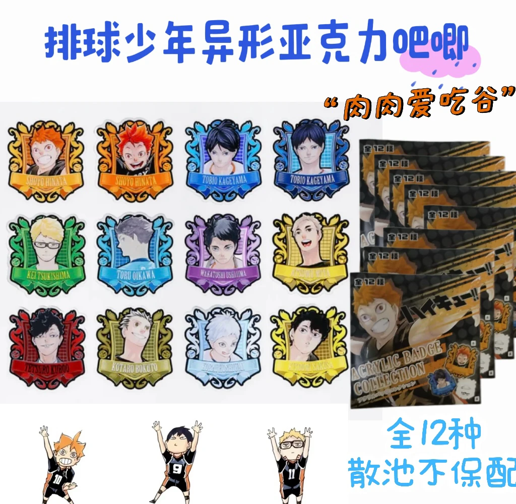 排球少年异形亚克力徽章吧唧（盲盒代拆）