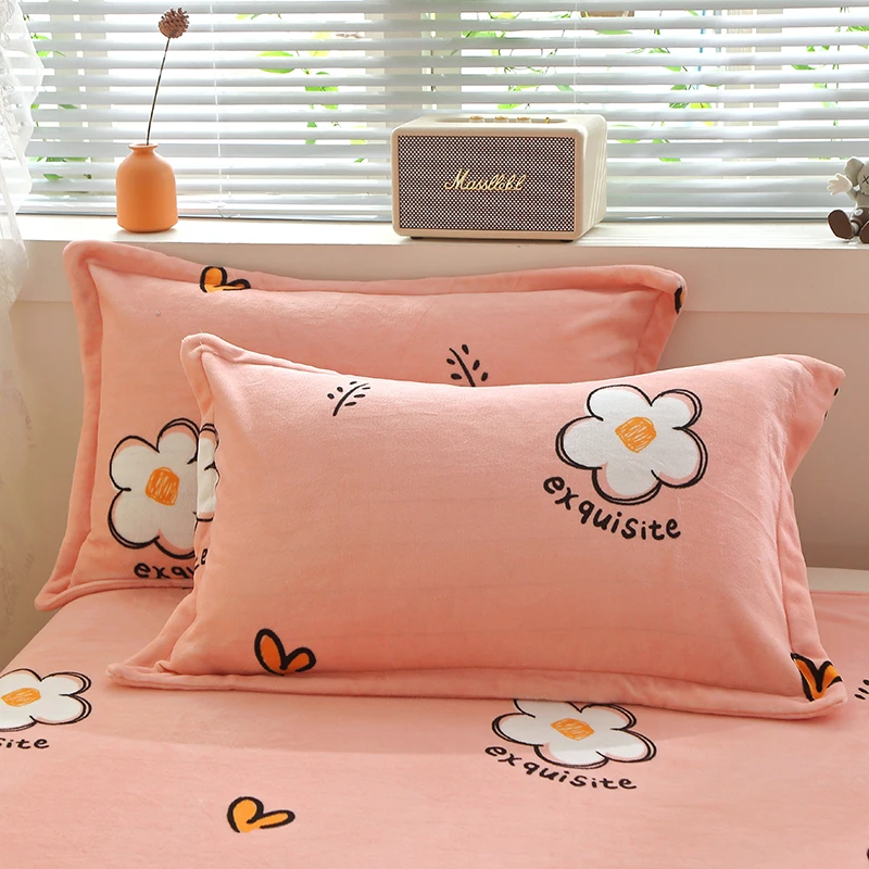 牛奶绒枕套一对成人枕套枕头套装枕芯学生宿舍单人枕头套48*74