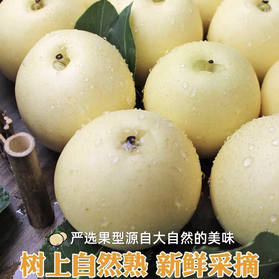 河南信阳黄金梨七斤梨子新鲜当季水果黄金梨整箱包邮