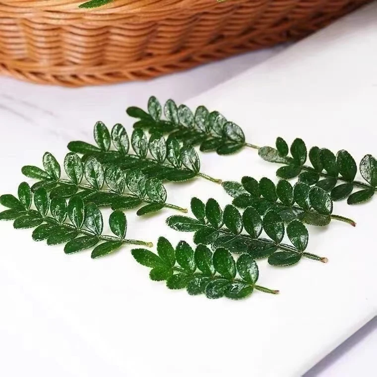 蛋糕装饰清香胡椒木新鲜叶子西餐烘焙植物装饰摆盘点缀甜品胡椒木