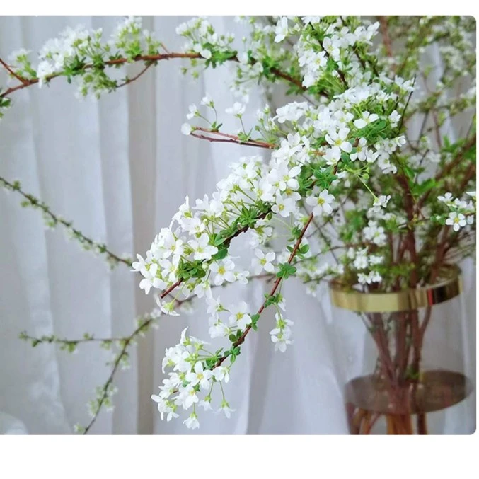 雪柳鲜枝干枝室内水养绿植花卉遇水开花水培植物喷雪花干支条