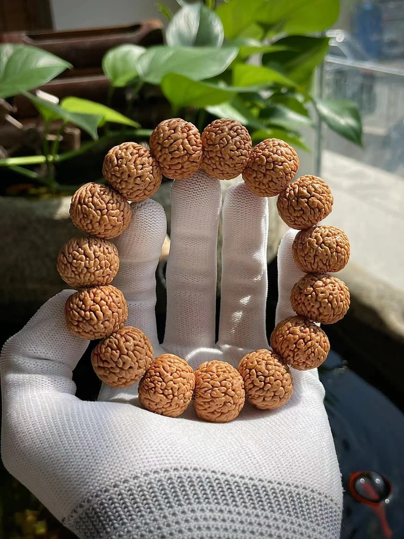 2.0龙鳞凤尾桃核