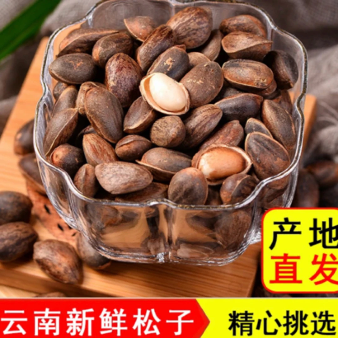 2斤云南新鲜松子无添加加工原生态高海拔长寿松松子零食