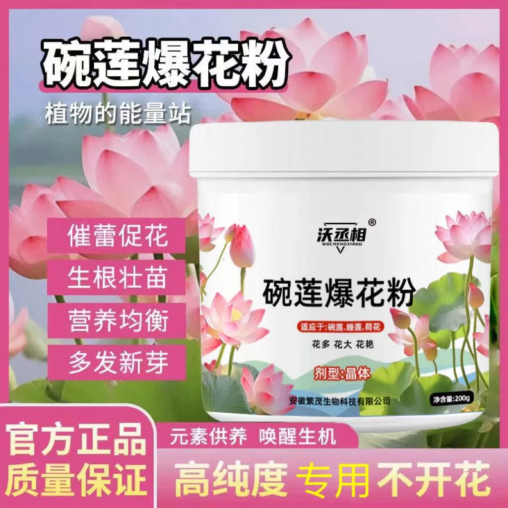 【碗莲专用】植物水培爆花神器促花促芽碗莲开花营养液基地专用