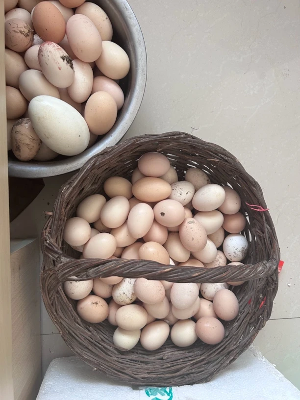 农村散养笨鸡蛋，粉皮40枚，纯粮食喂养，不喂任何饲料