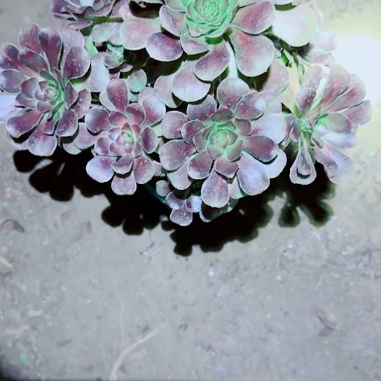 147 加急发货，满15包邮